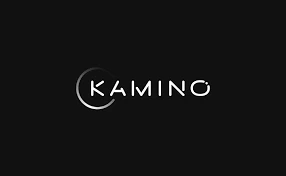 Kamino：Solana生态流动性收益聚合协议